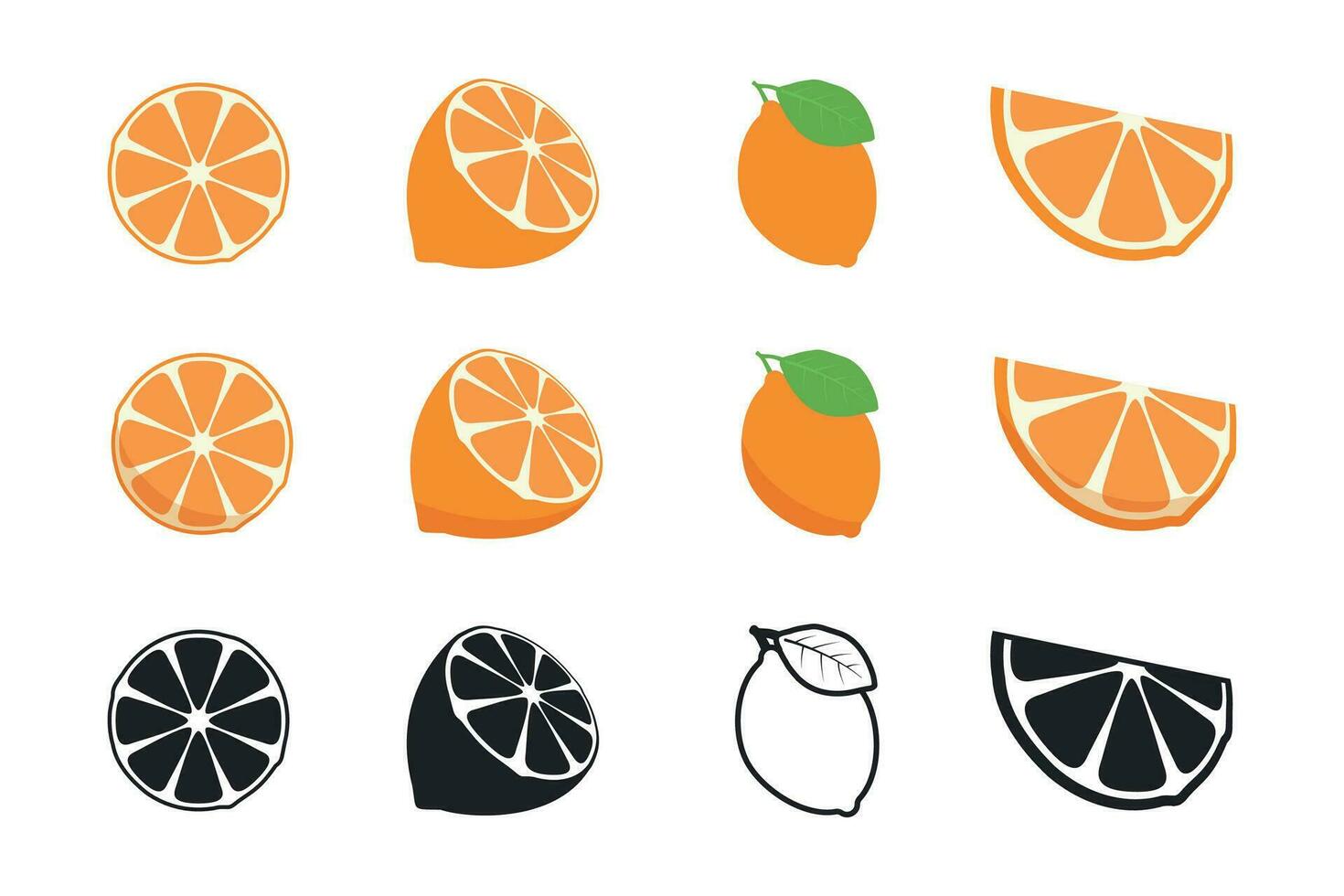Orange fruit. Oranges segmented on a white background. Vector illustration