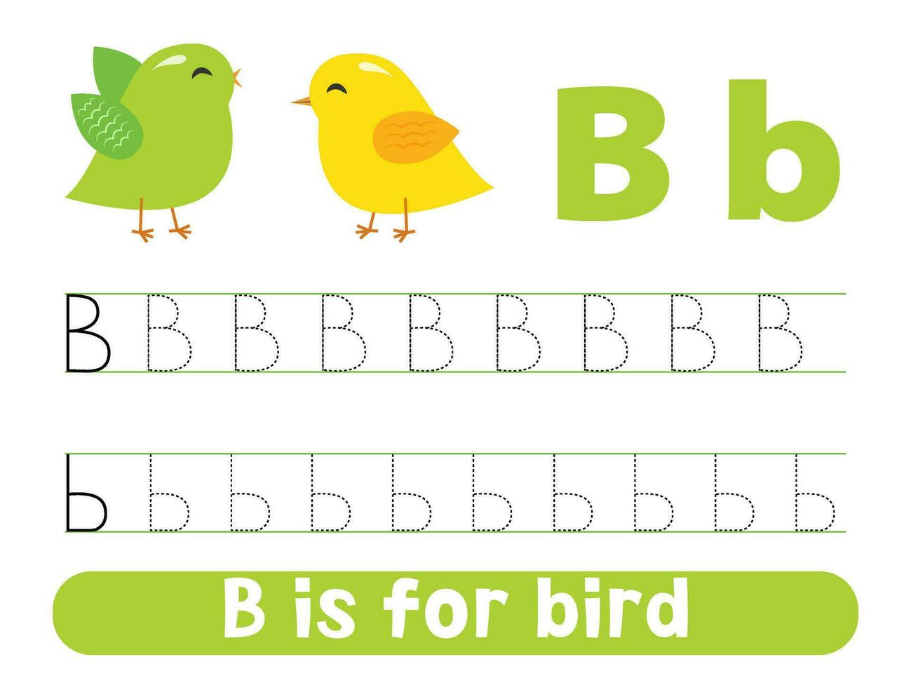 Tracing alphabet letter b with cute birds. Worksheet for children. vector