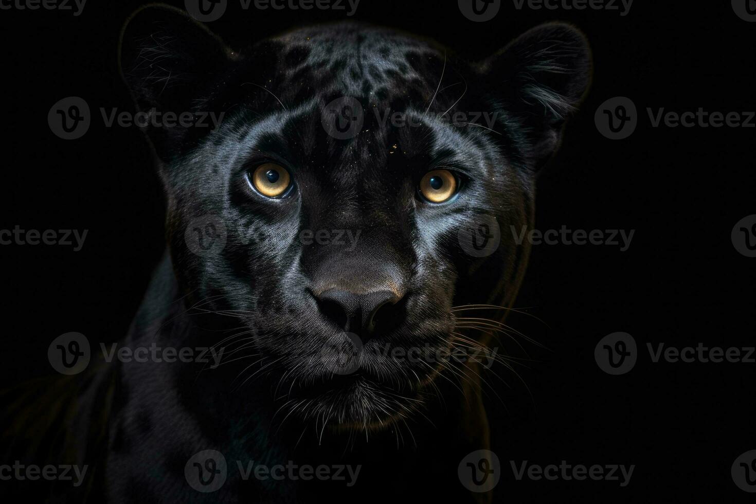 Front view of Panther on dark background. Generative AI photo