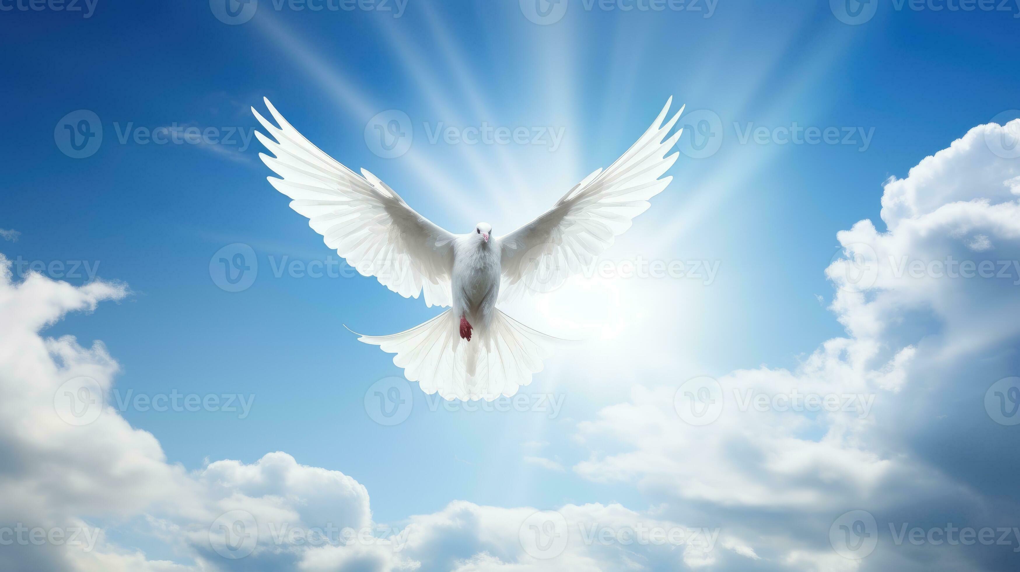 White dove with wings wide open in the blue sky air with clouds and
