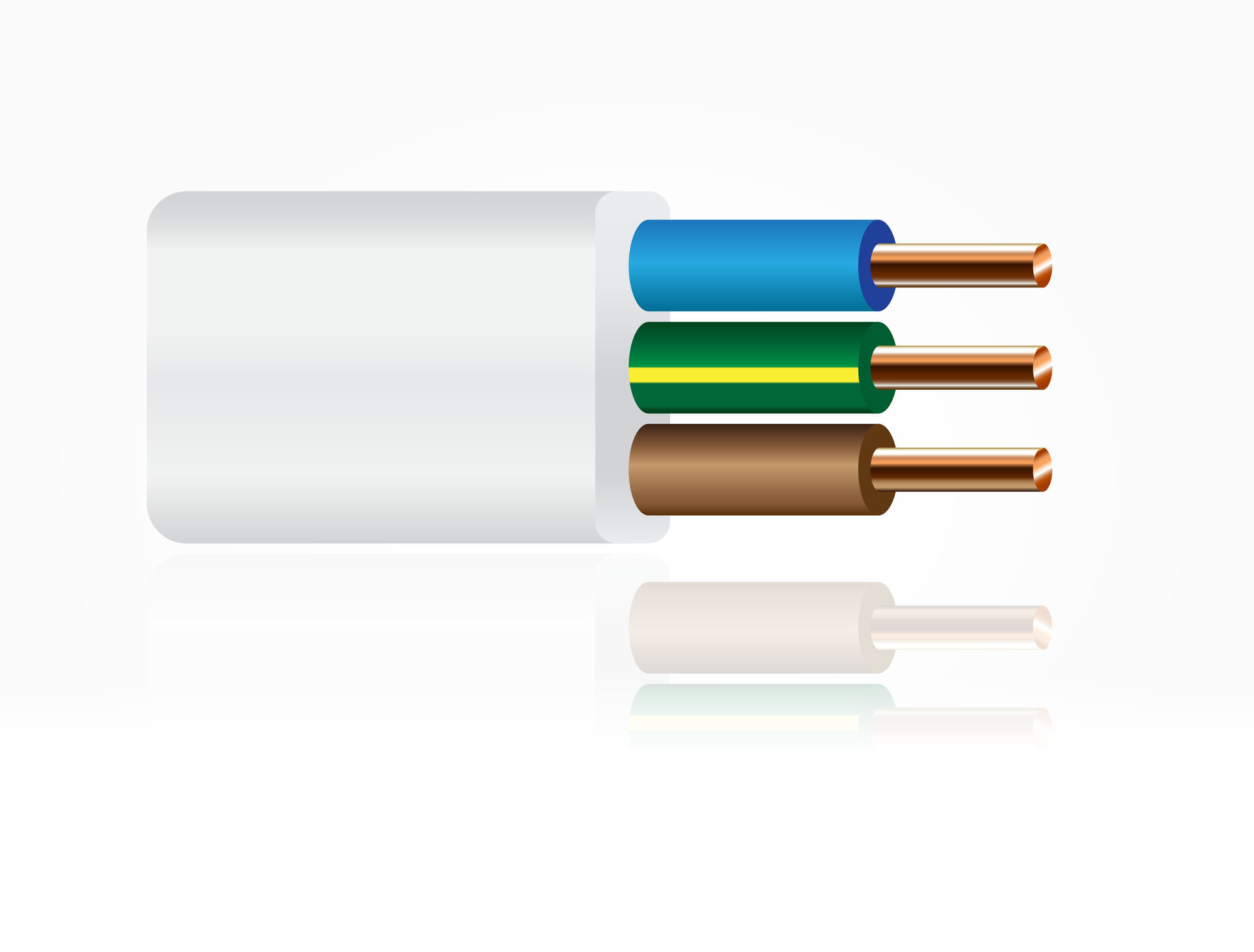 Closeup of electrical wire vector on a white background. 26769949