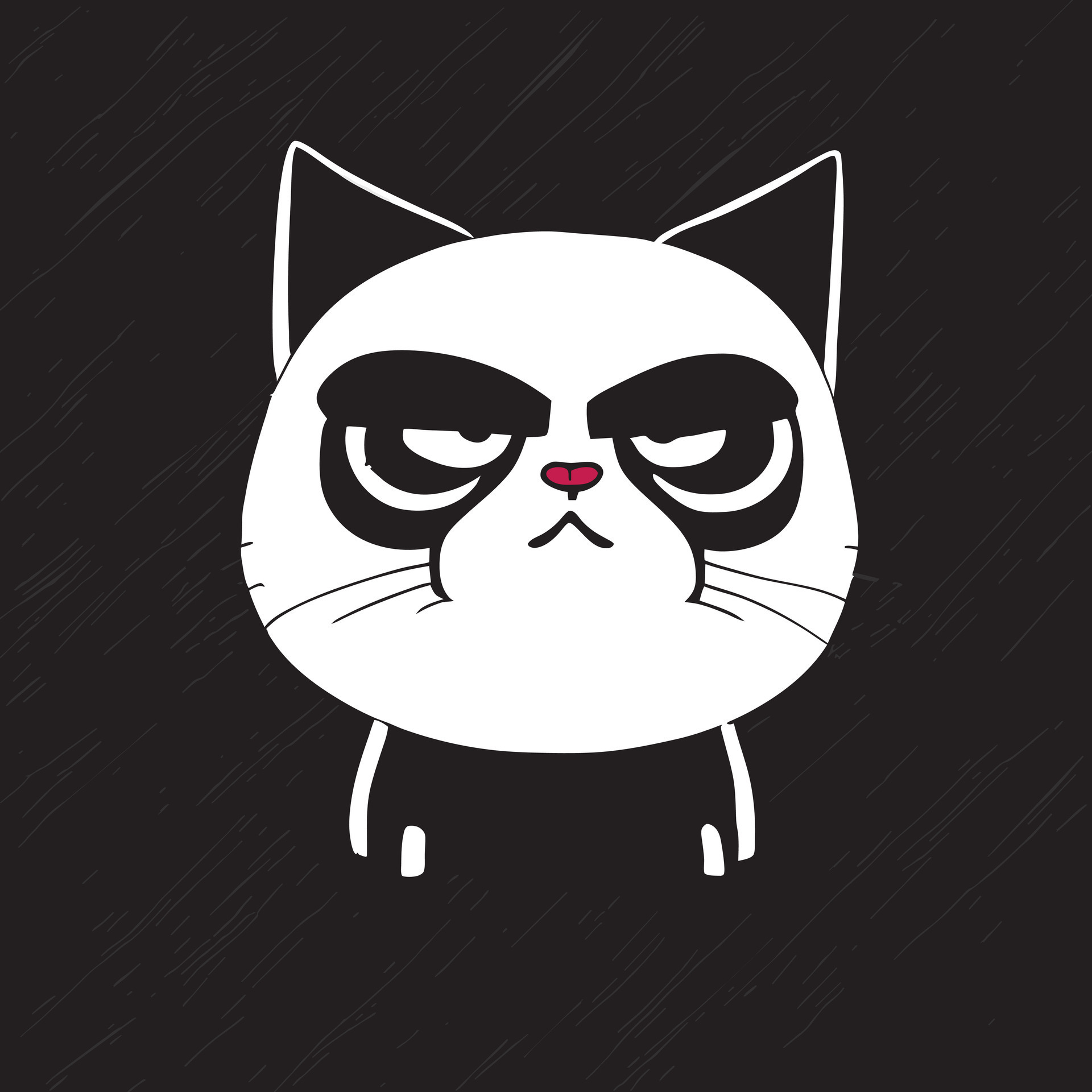 Angry Looking White Cat Black Background Vector Illustration Cartoon Angry Looking White Cat Black Background Vector Illustration Cartoon