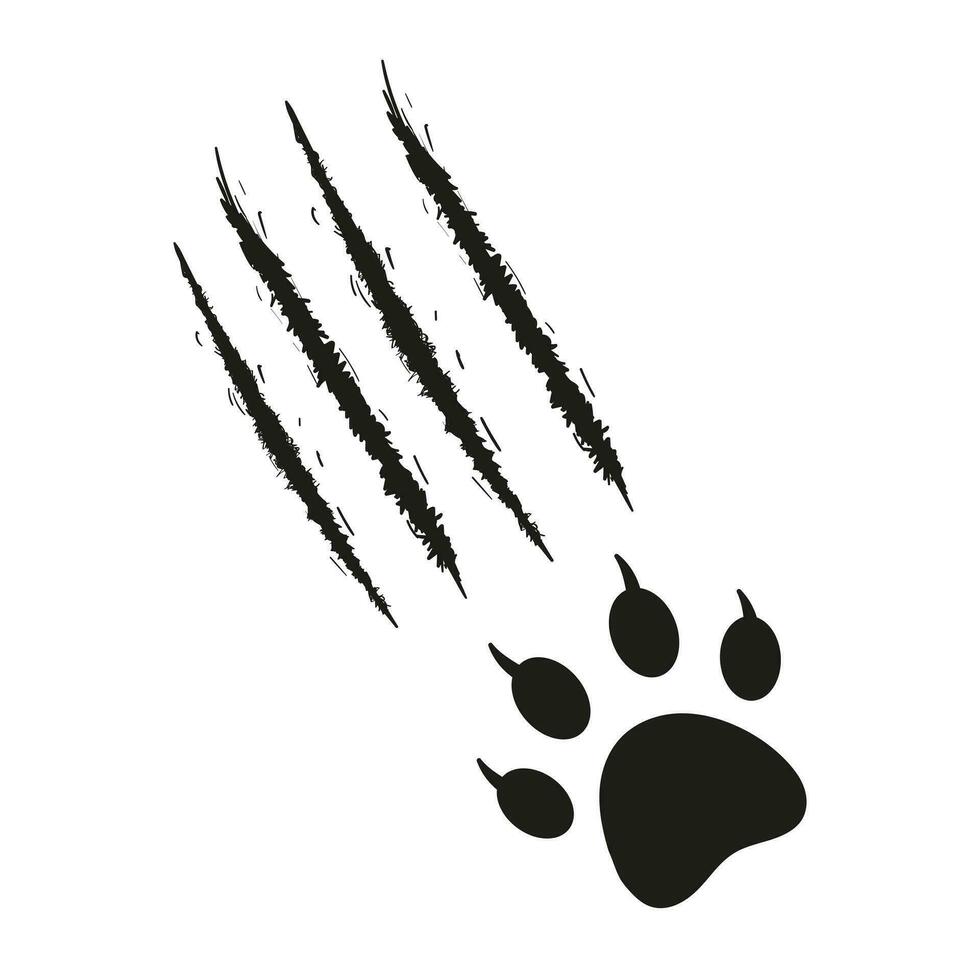 Cat's paw print with traces of scratches and claws. Feline footprint silhouette. Claws scratch scratch. Black and white vector isolated on white background. Design for animal print, banners, posters