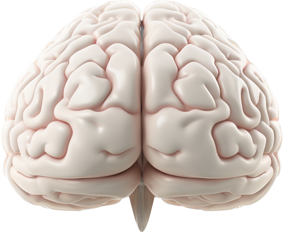 Brain with . png