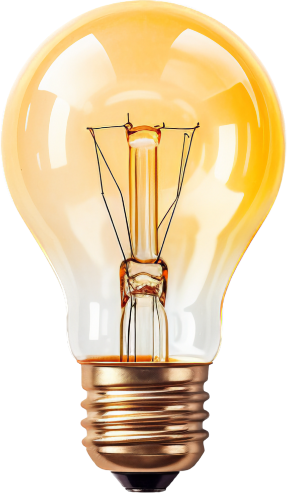 lightbulb with . png