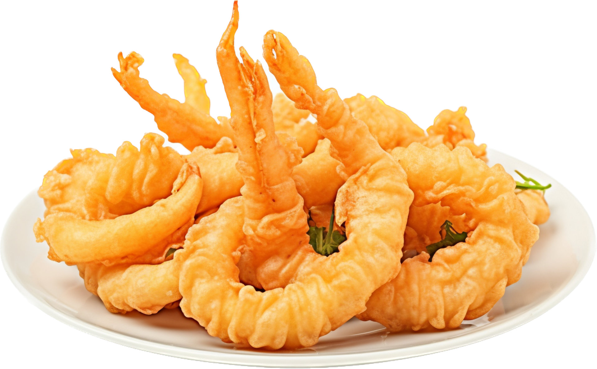 Tempura with . 26772570 PNG