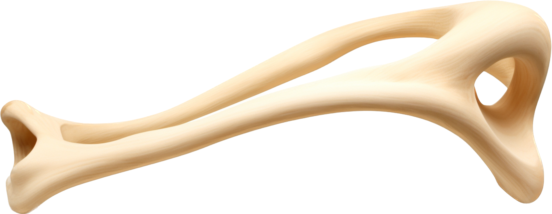 Bone with . png
