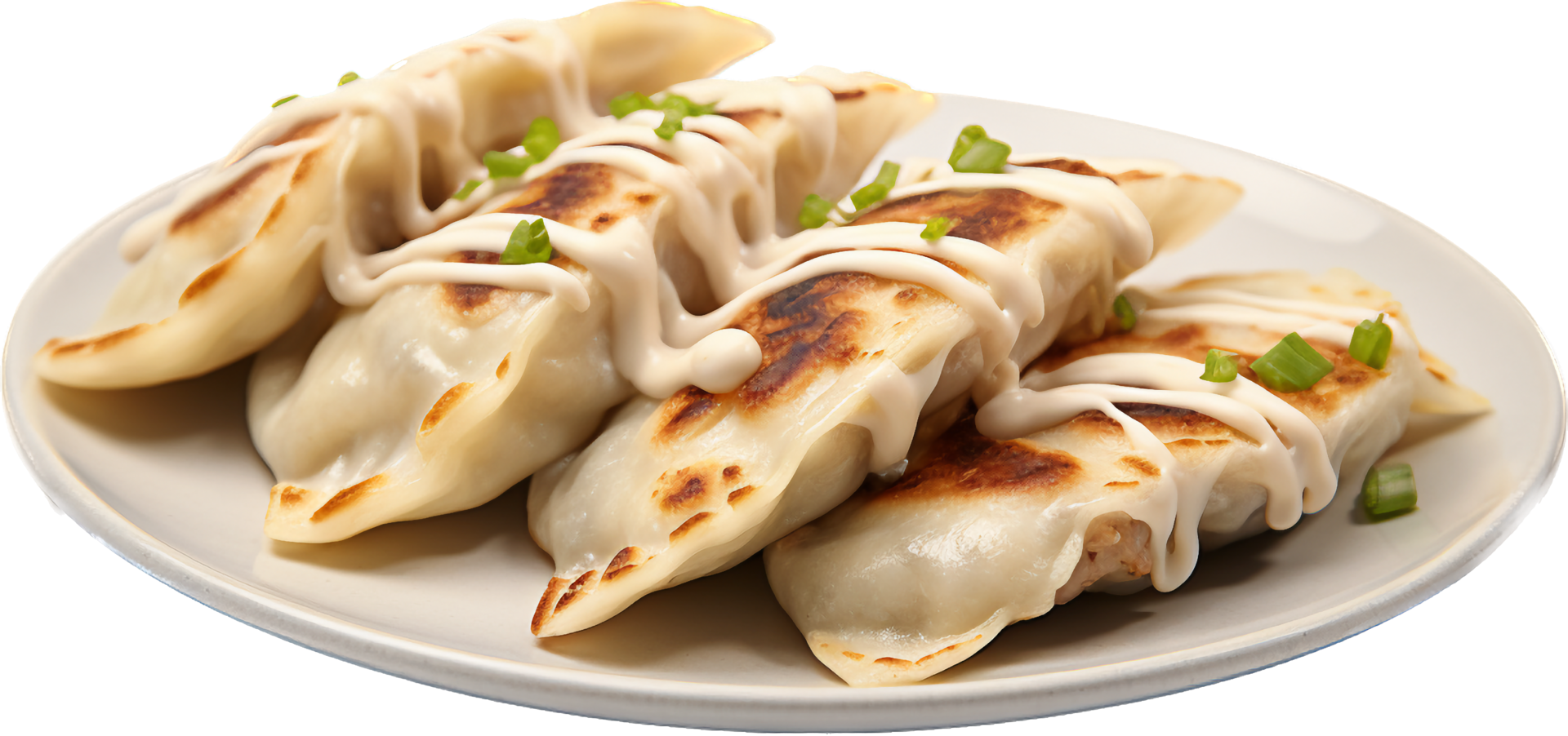 Gyoza with . png