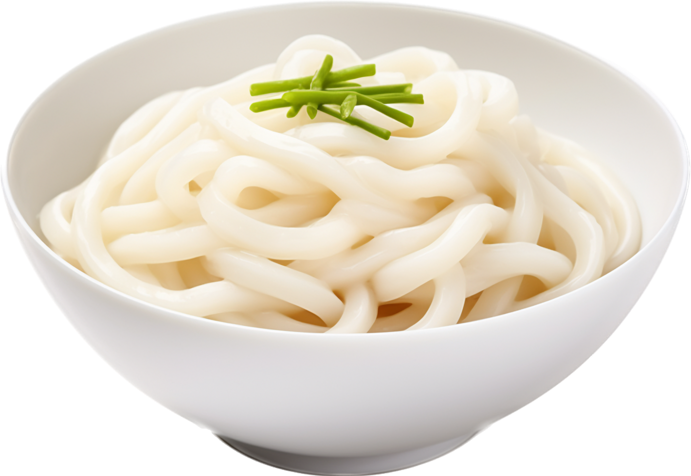 Udon with . png