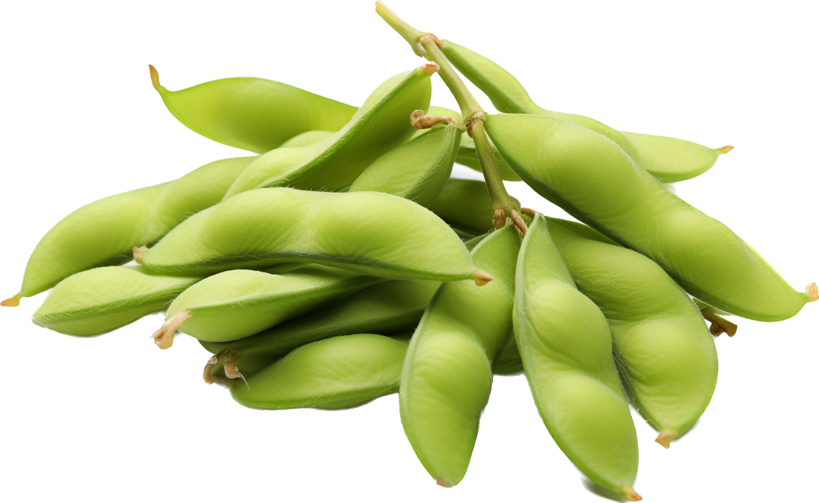 Edamame with . png