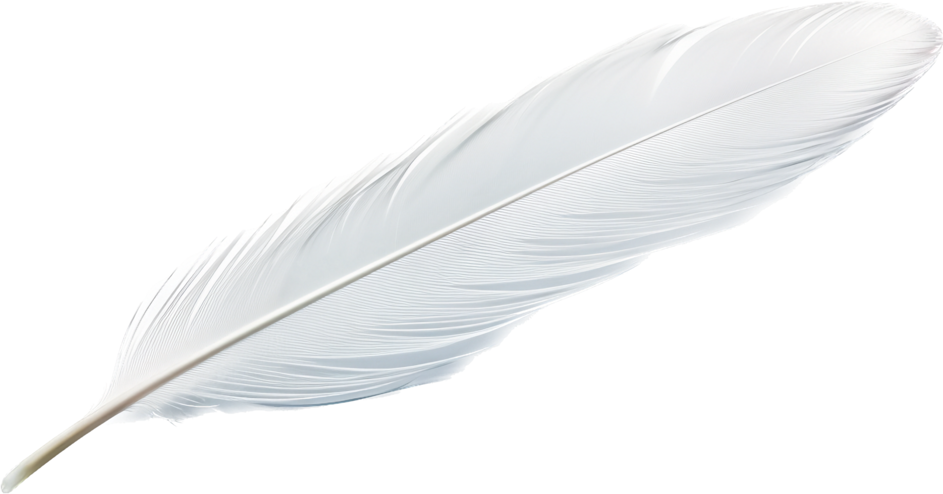 Feather png with AI generated.