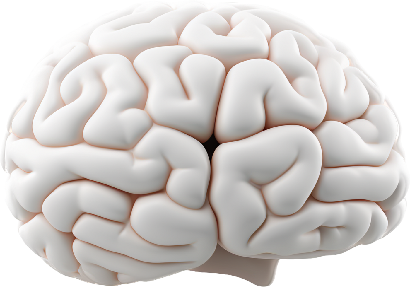 Brain with . png
