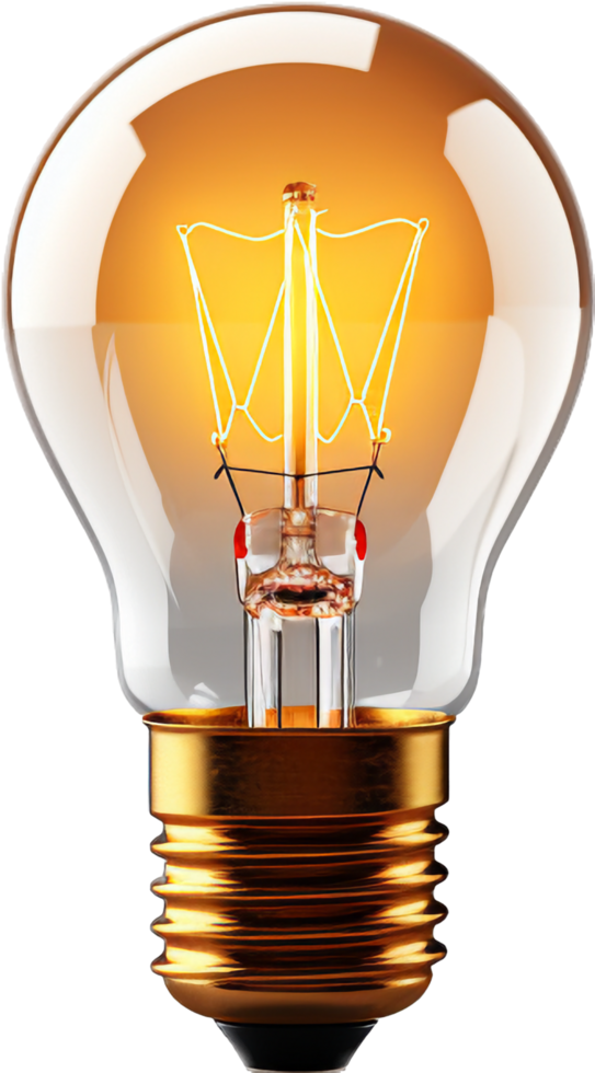 lightbulb with . png