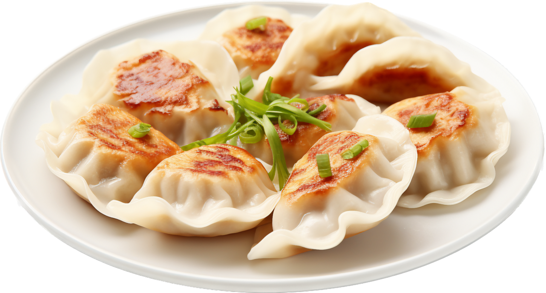 Gyoza with . 26773795 PNG
