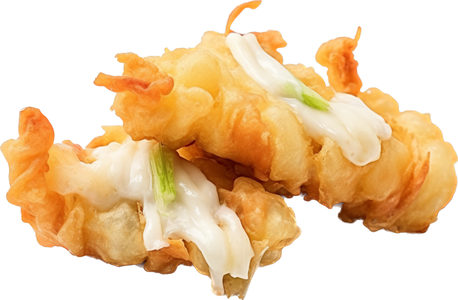 Tempura with . png