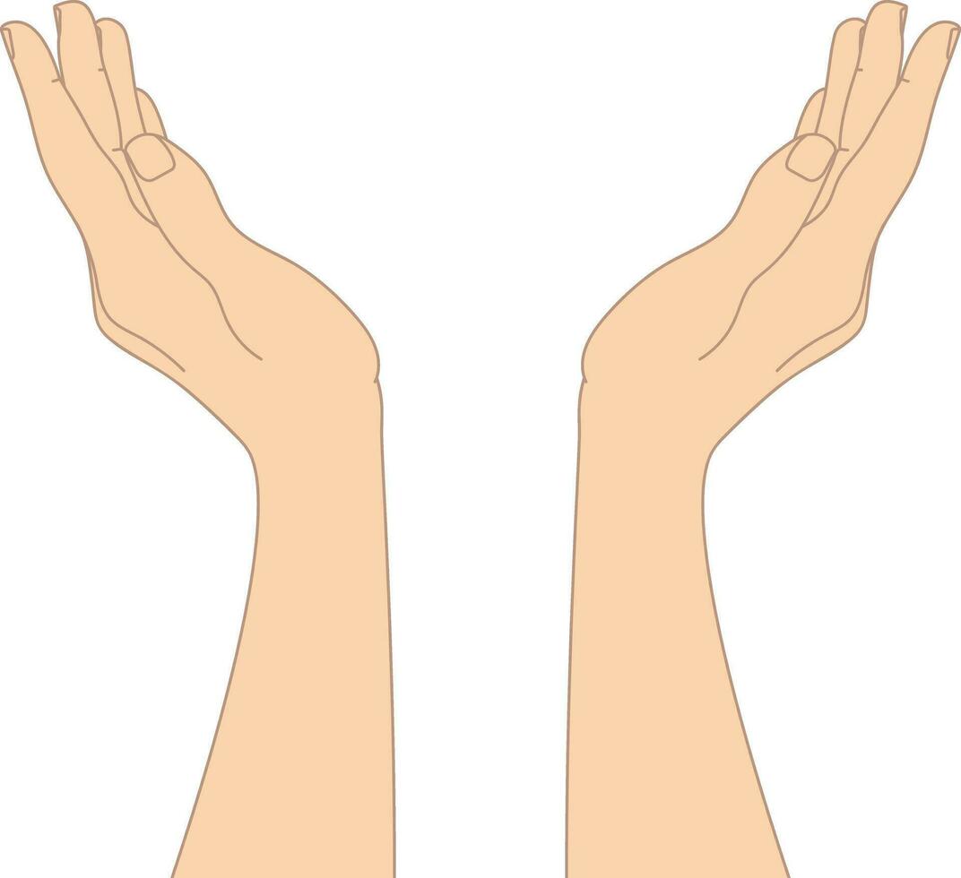 Hand drawn cupped hands isolated on white background. Raised hands. Vector illustration