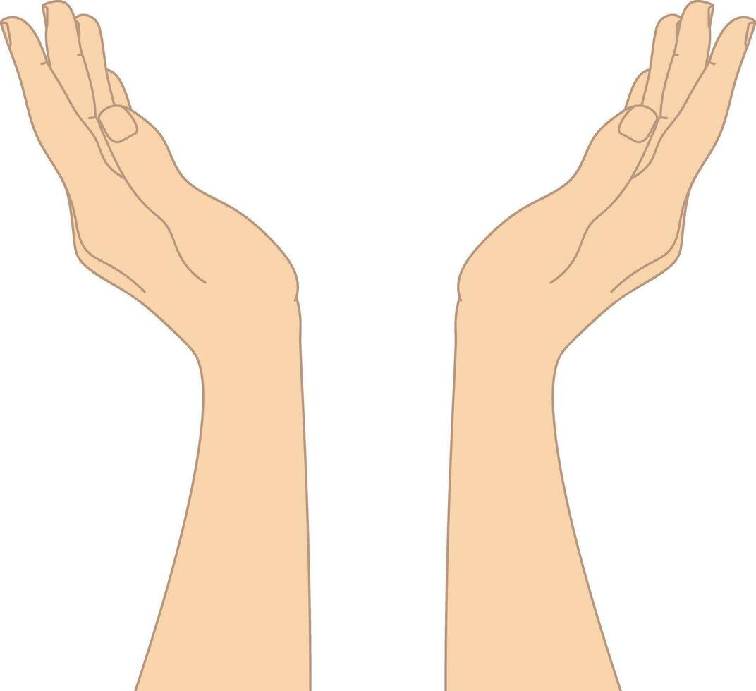 Hand drawn cupped hands isolated on white background. Raised hands. Vector illustration