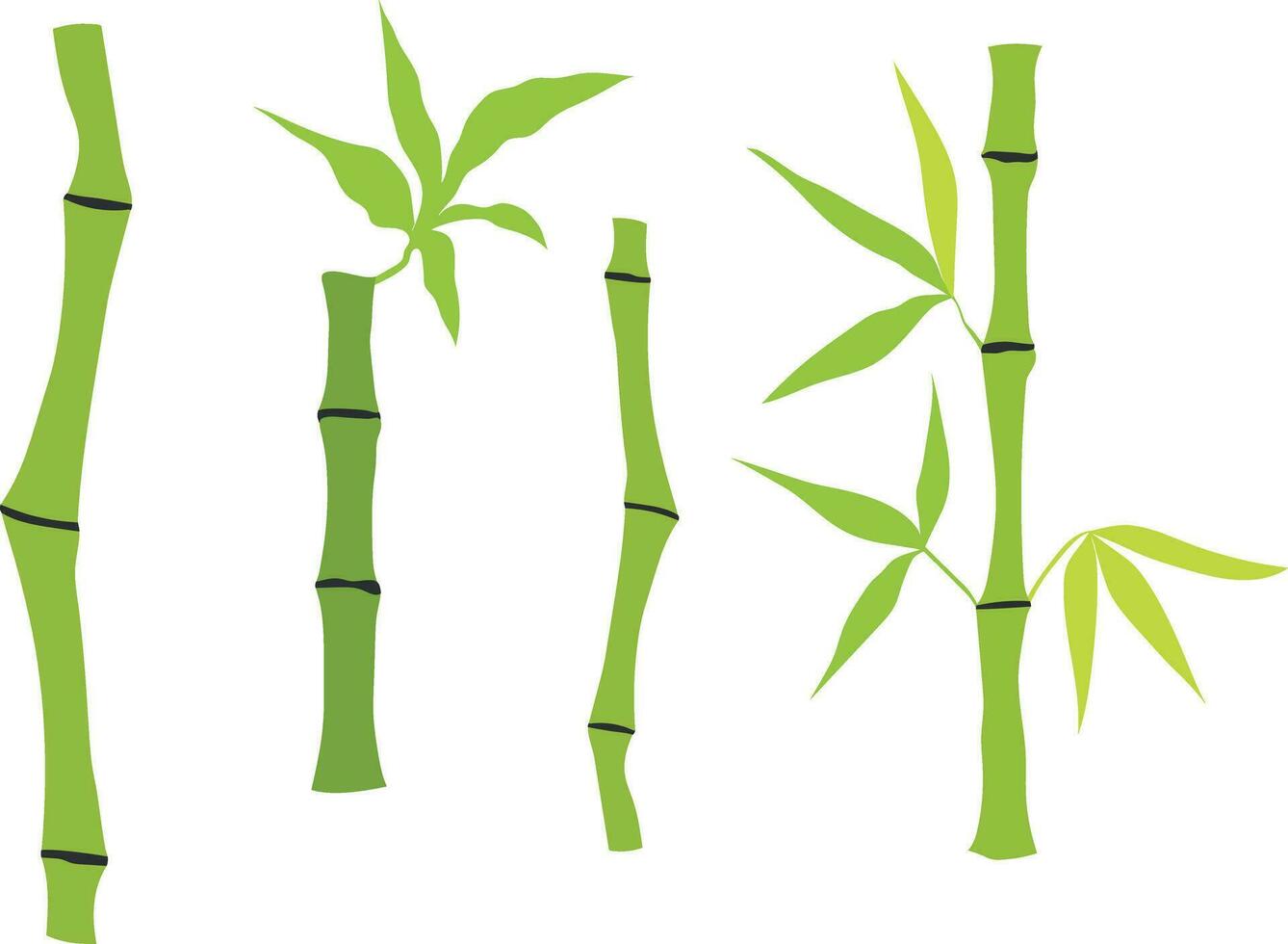 Hand drawn bamboo stem and leaves. Set of bamboo tree. Hand drawn botanical illustration isolated on white background. Vector art