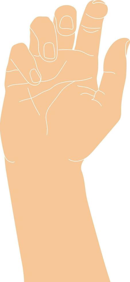 Hand drawn hand isolated on white background. Hand drawn human palm sketch. Vector illustration