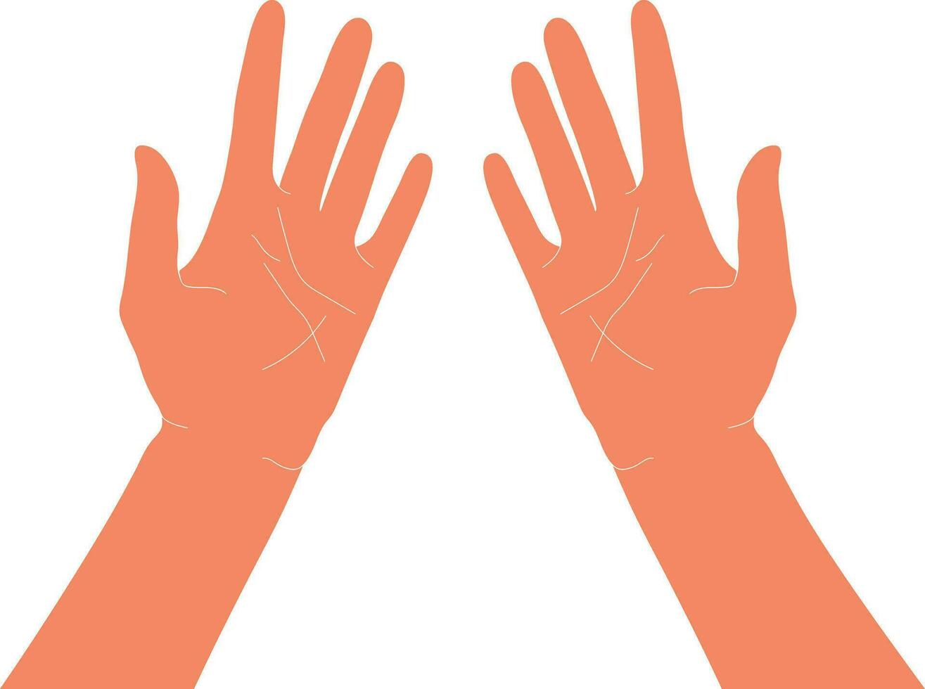 Top view on two hands, palms up. Vector illustration isolated on white background