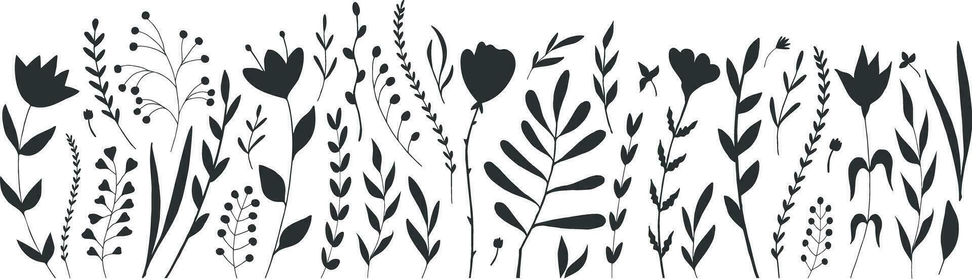 Floral and plant set with various hand drawn flower silhouettes. Botanical elements isolated on white background. Flower bed. Botanical set vector