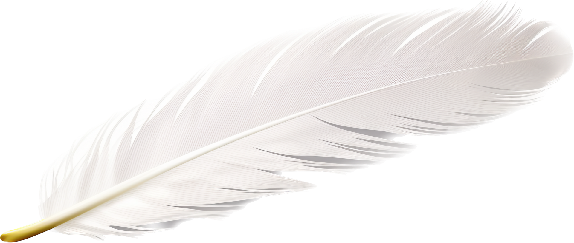 Feather png with AI generated.