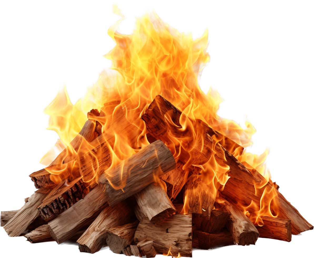 Bonfire with . png