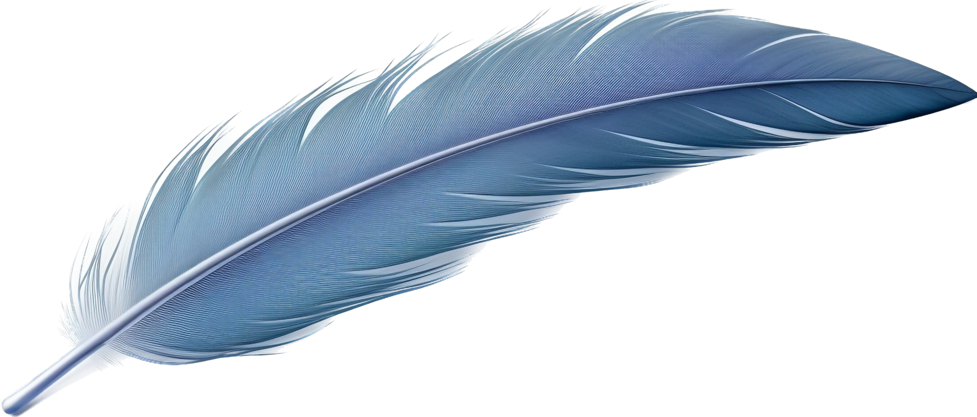 Feather png with AI generated.