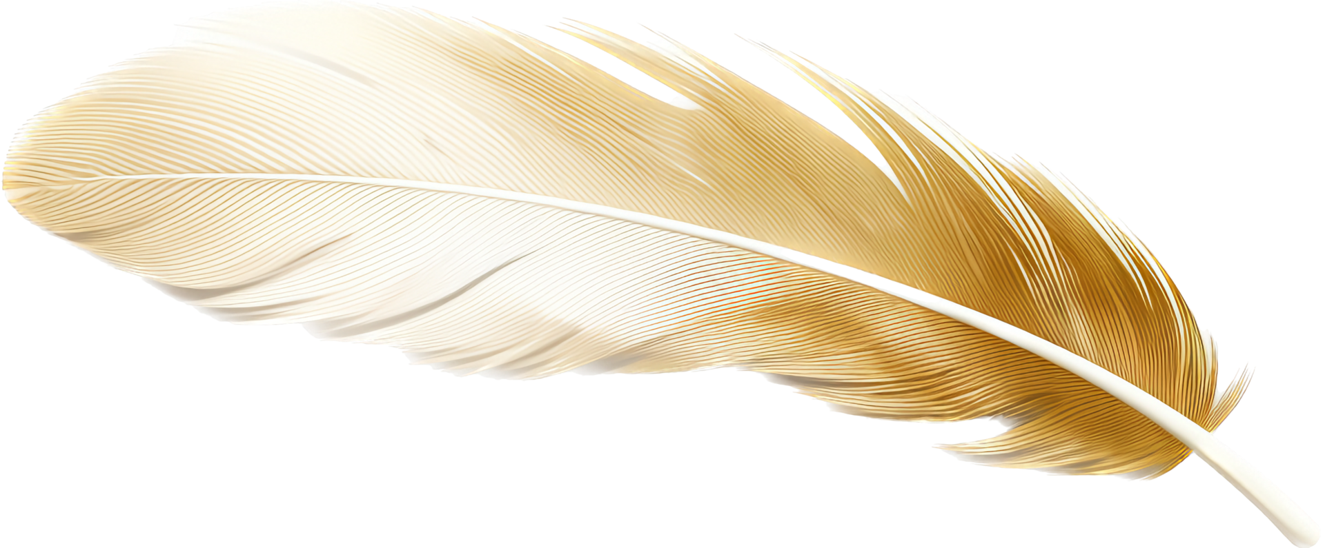 Feather png with AI generated.