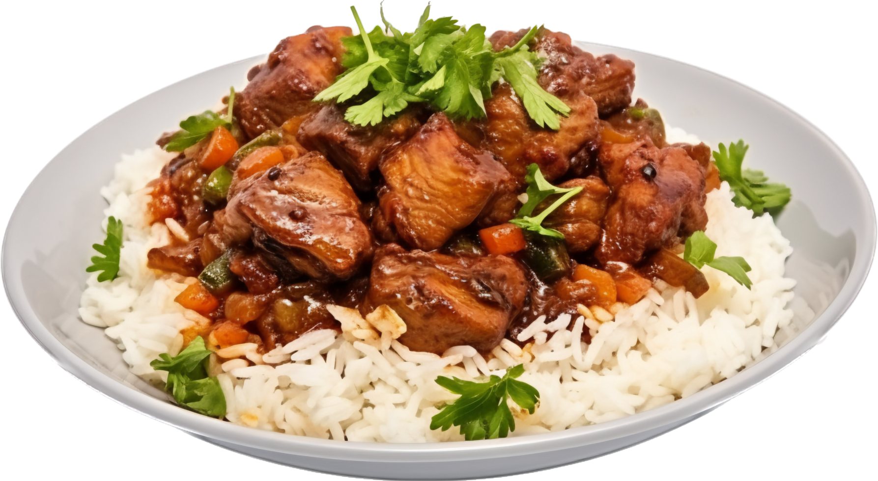 Pork with rice png with AI generated.