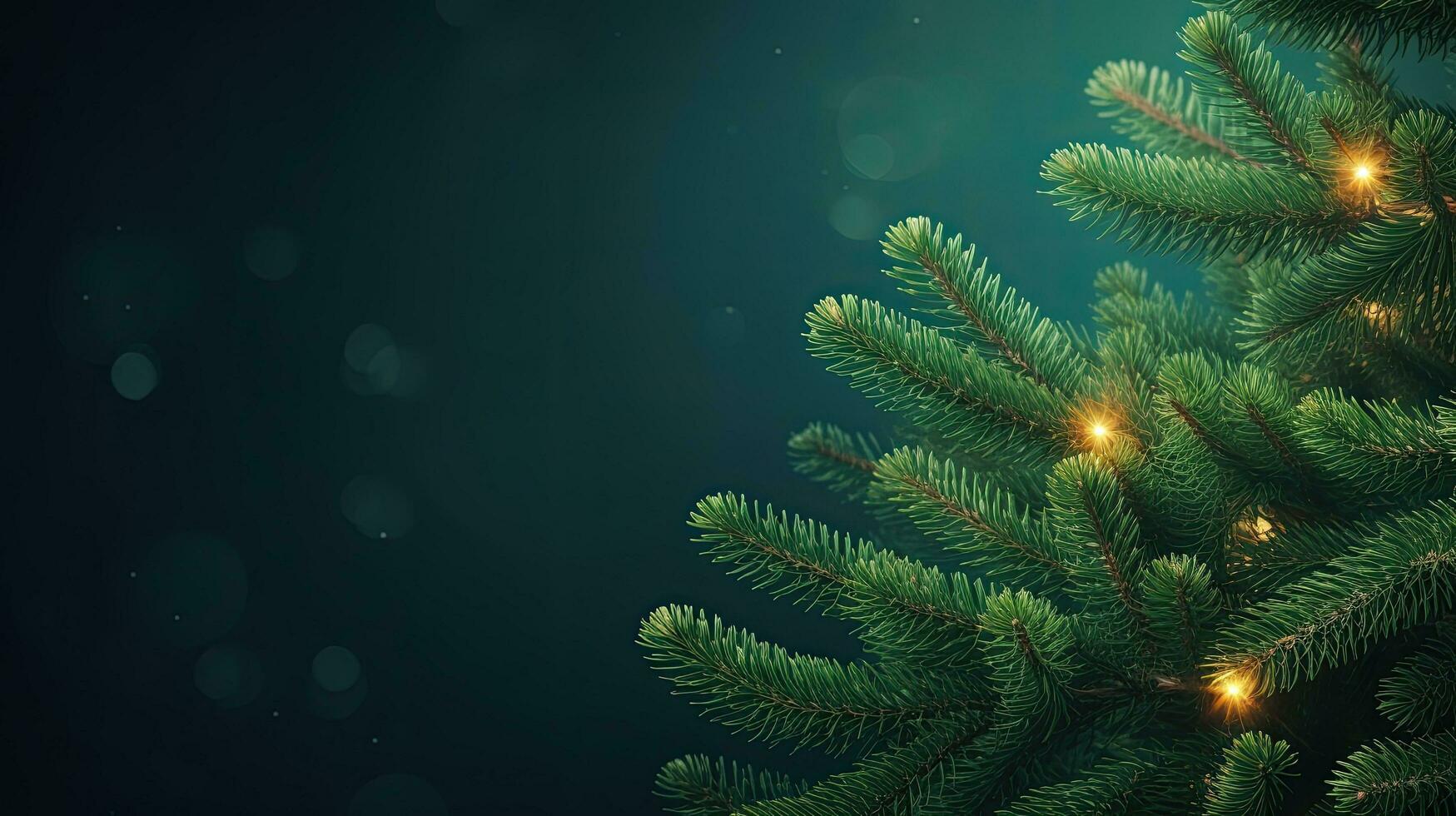 Christmas green background with fir branches photo