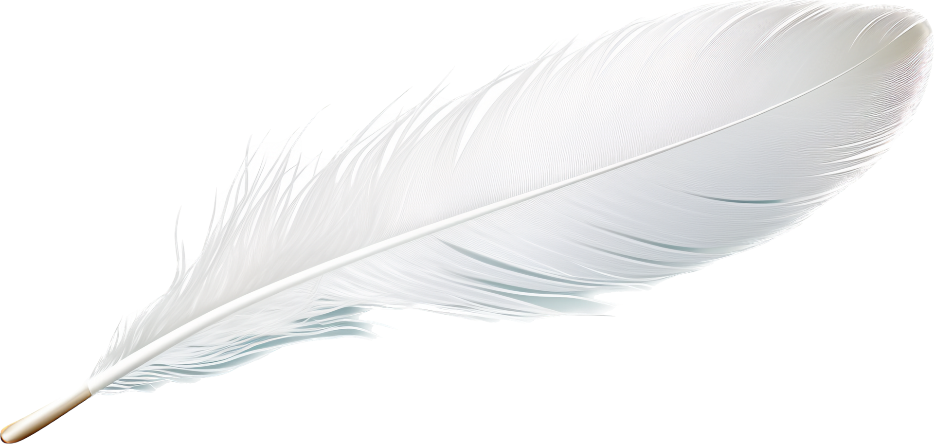 Feather with . png