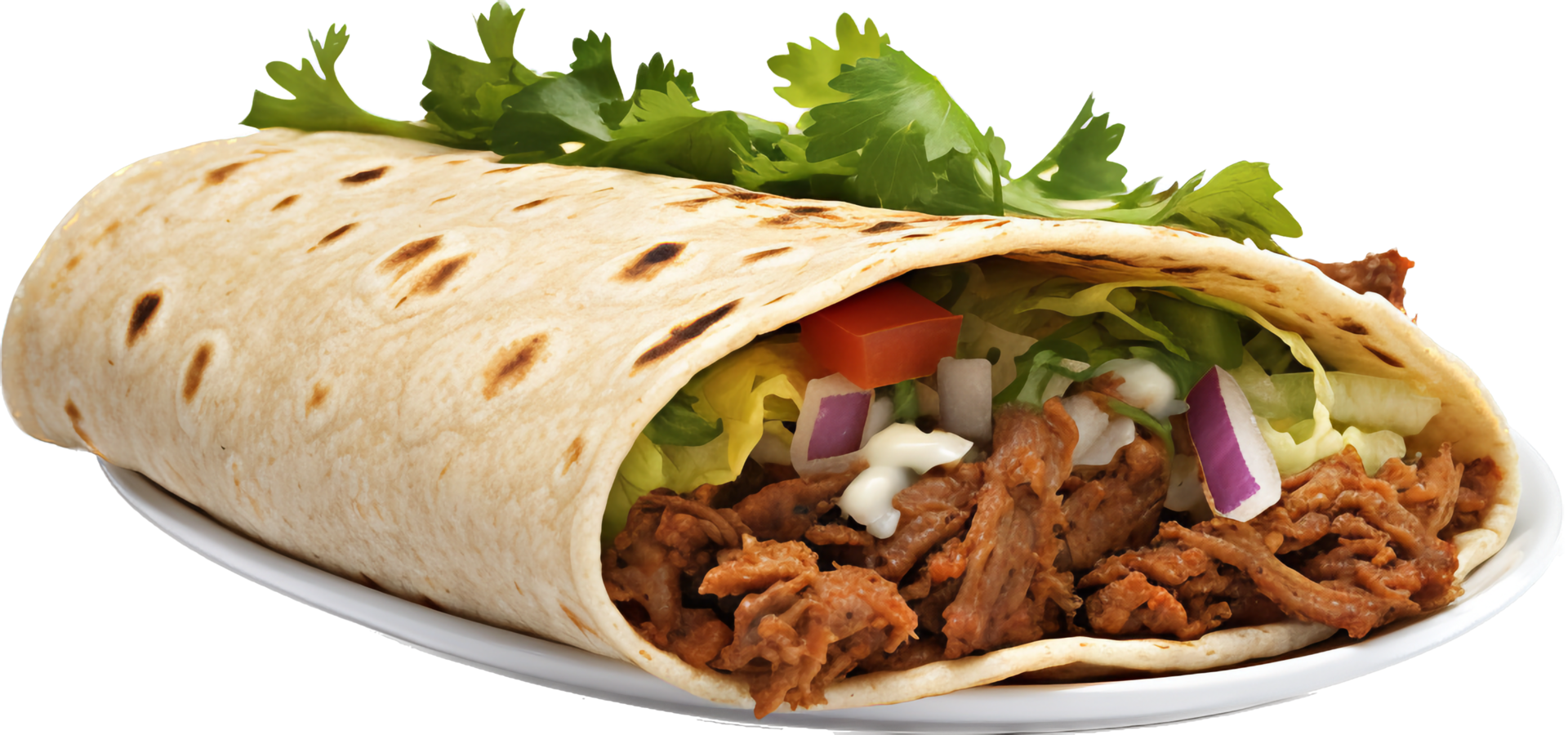 Machaca with . png