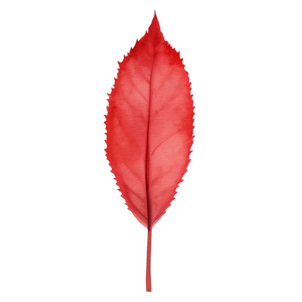 watercolor autumn leaf, ai generative png