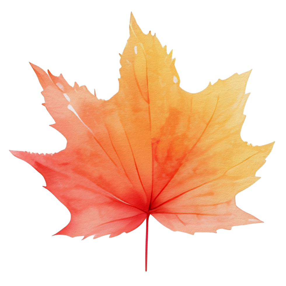 watercolor autumn leaf, ai generative png