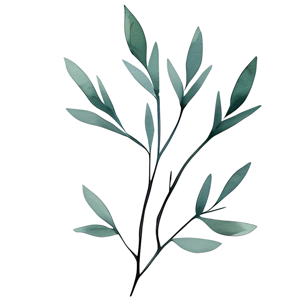 watercolor natural leaf, png