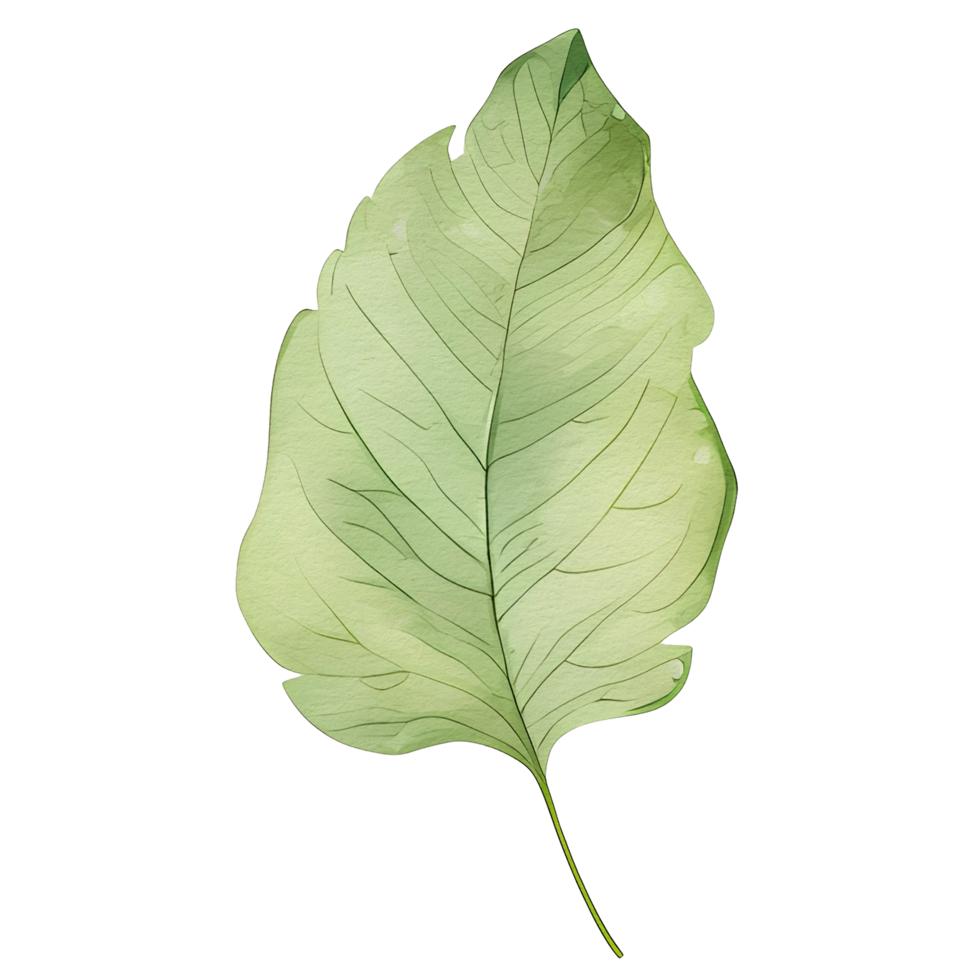 watercolor natural leaf, ai generative png