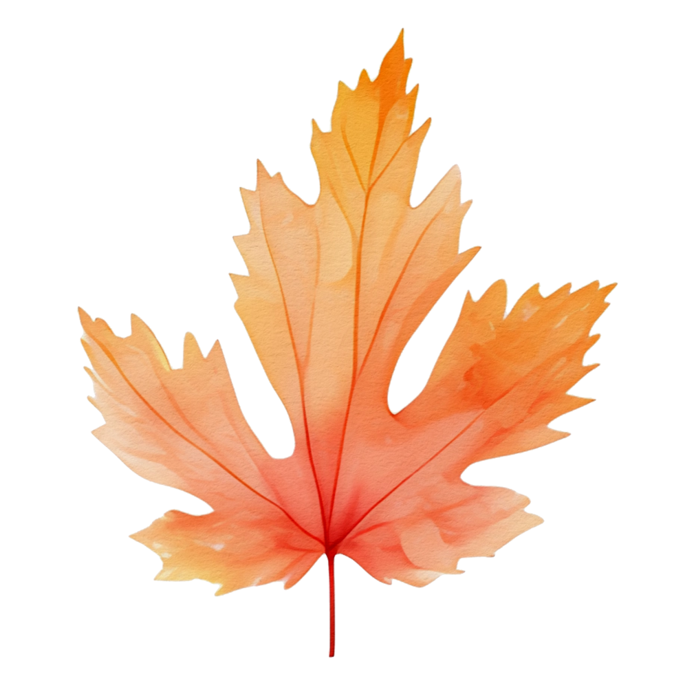 watercolor autumn leaf, ai generative png