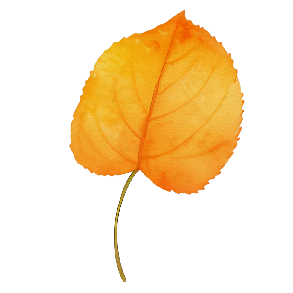 watercolor autumn leaf, ai generative png