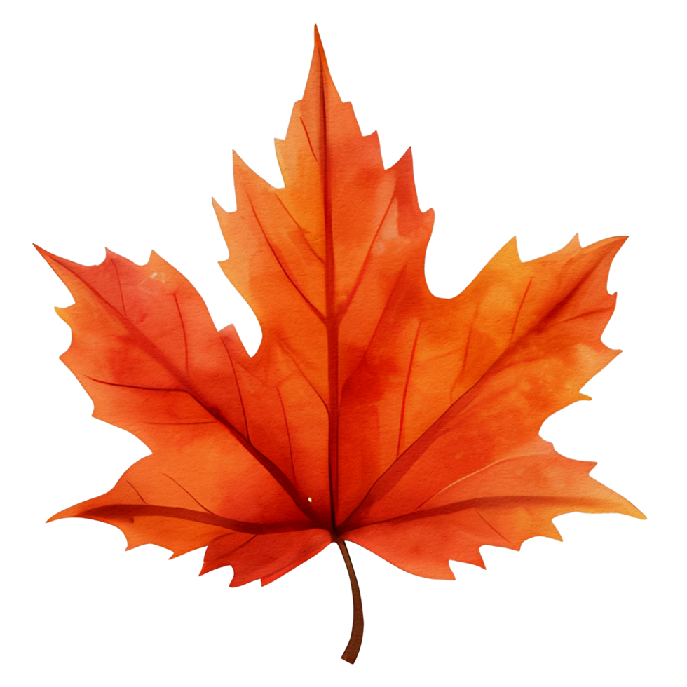 watercolor autumn leaf, ai generative png