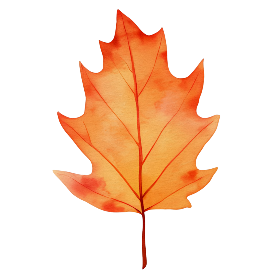 watercolor autumn leaf, ai generative png