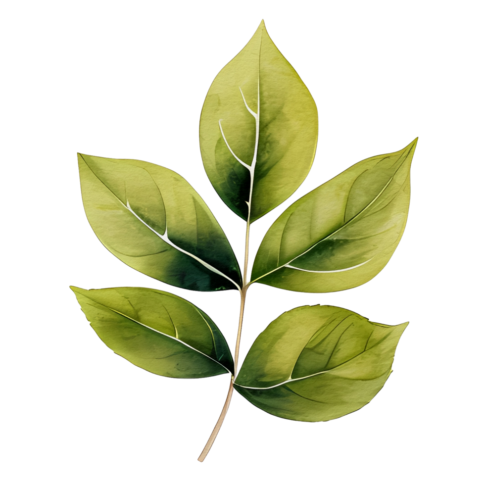 watercolor natural leaf, ai generative png