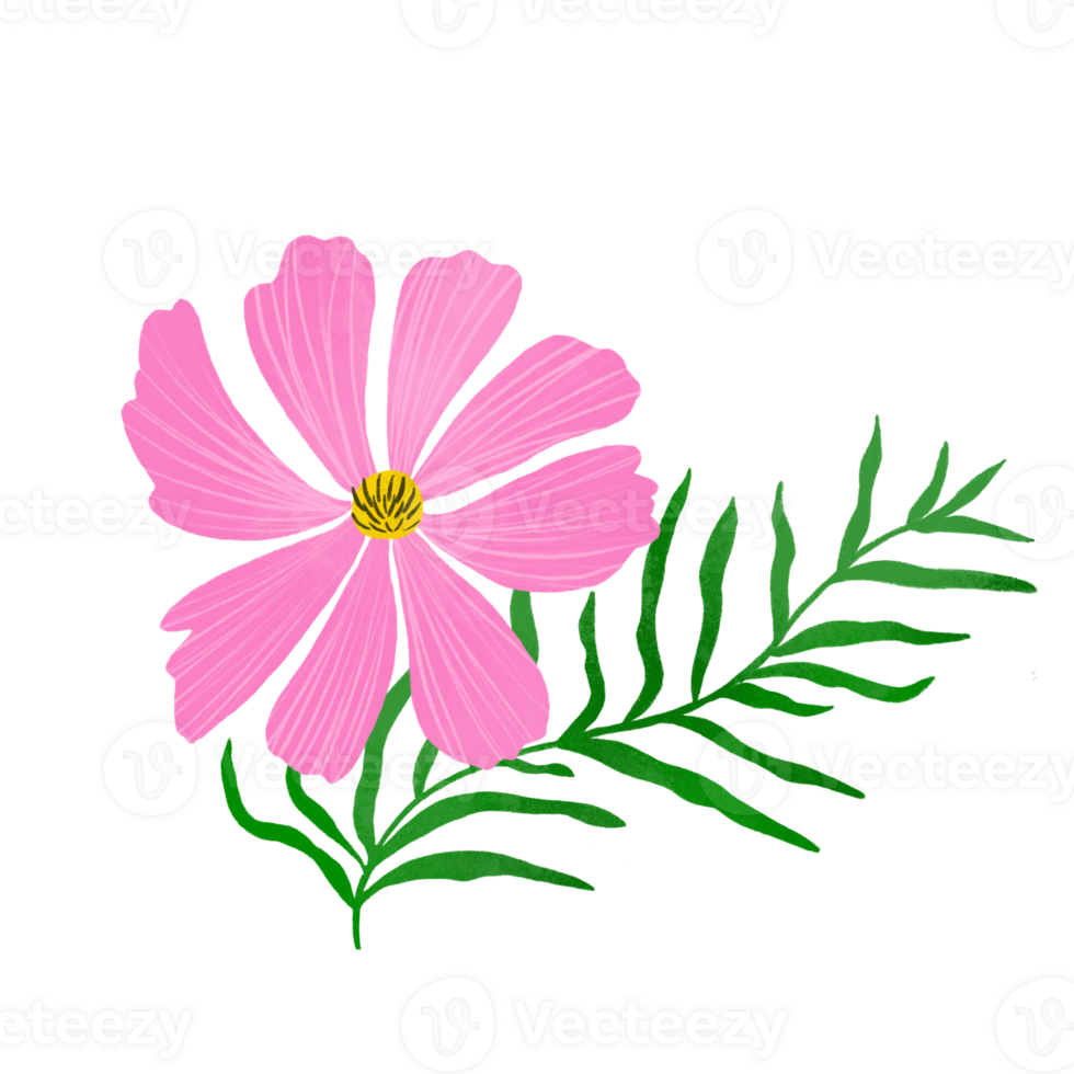 Rosa cosmos flor isolado elemento. fofa flores silvestres ilustração, simples Prado plantar, mão desenhado estilo. png