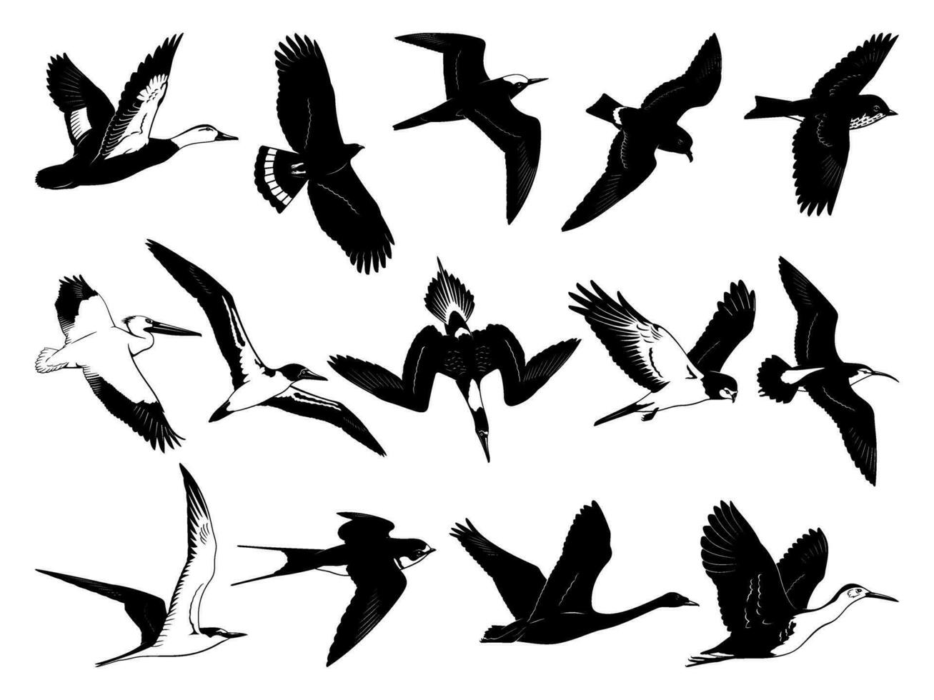 Flying Birds Silhouettes. Black and white stencil vector cliparts isolated on white.