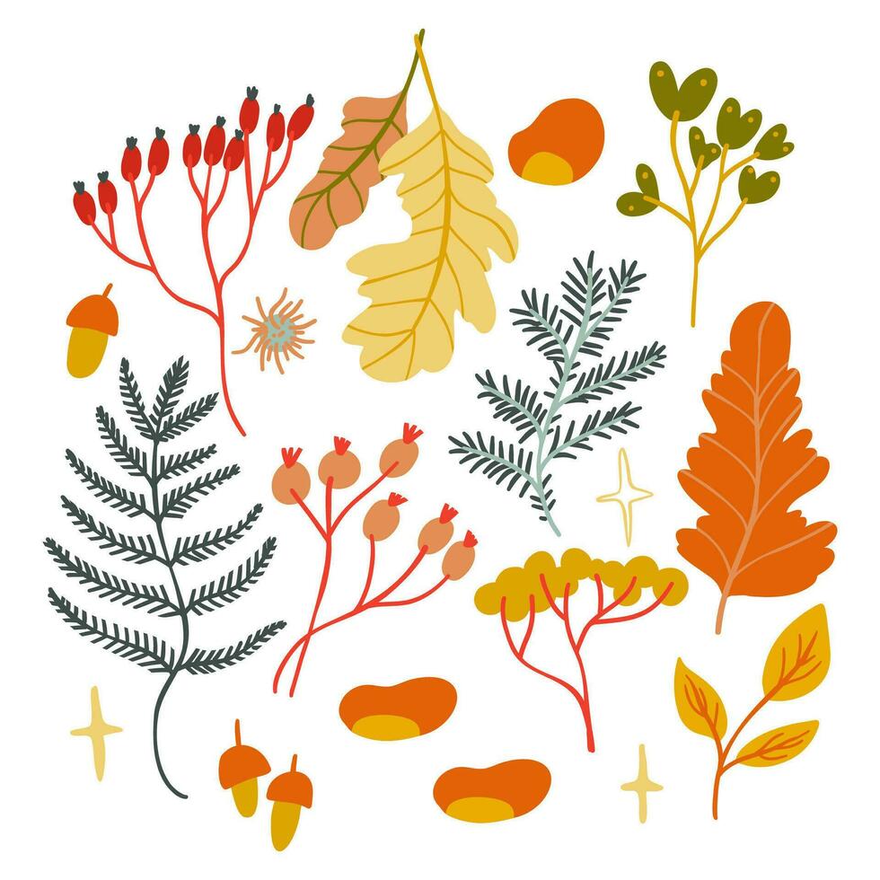 Set with autumn elements such as leave, berries. Isolated fall coloured elements for stickers, t-shirs printing. vector