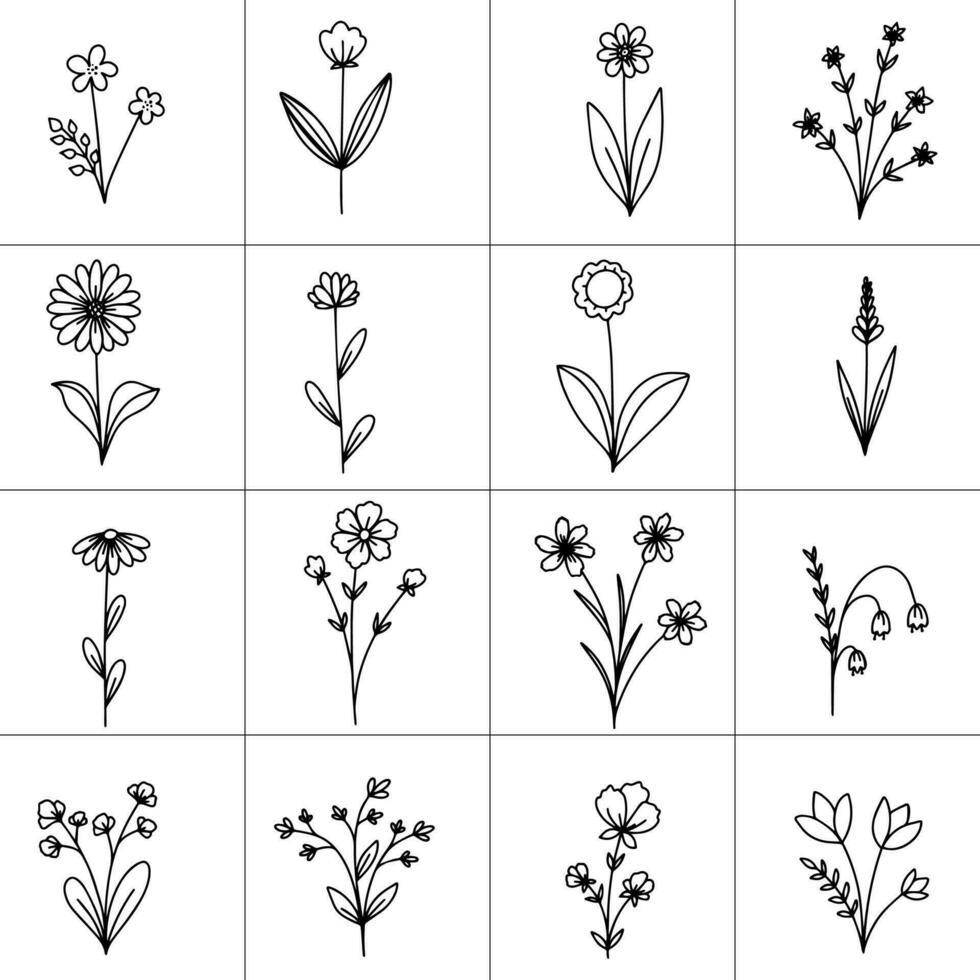 Big set silhouettes botanic floral elements. Branches, leaves, flowers. Vector illustration isolated on white background