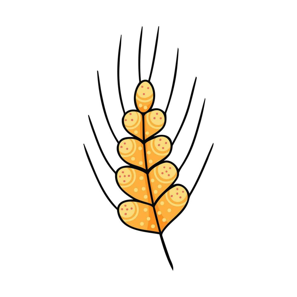 Spikelets of grain. Cereal wheat or rye. Ears of wheat. Illustration for backgrounds and packaging. Image can be used for greeting cards, posters and stickers. Isolated on white background. vector