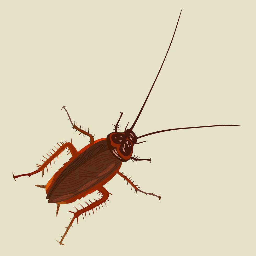 cucaracha vector aislado en blanco antecedentes. parásito insecto. error parte superior ver