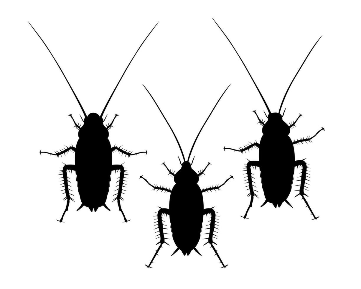 cucaracha monocromo vector aislado en blanco antecedentes. parásito insecto. error parte superior ver