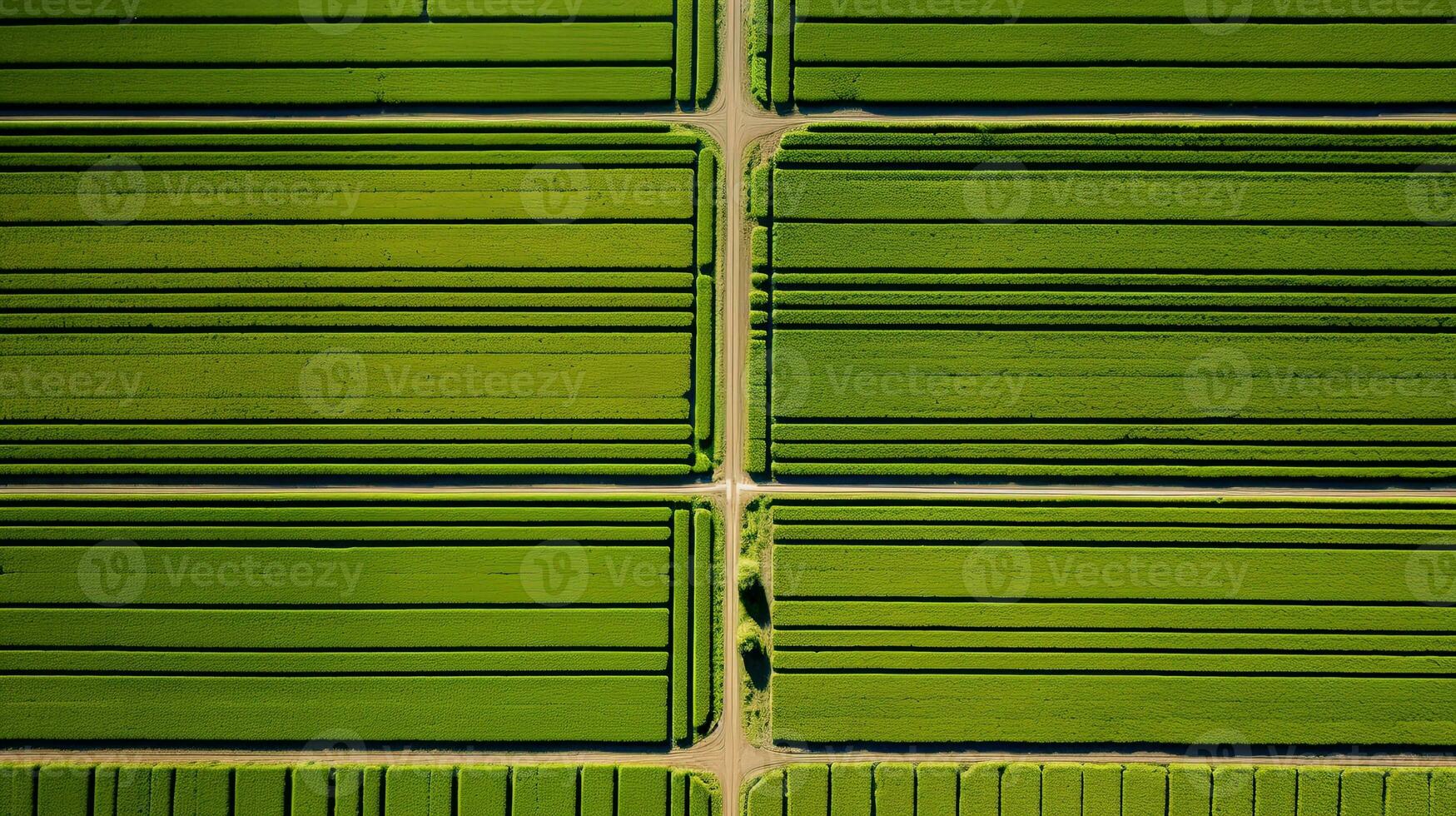 generativo ai, granja paisaje, agrícola campos, hermosa campo, país la carretera. naturaleza ilustración, fotorrealista parte superior ver zumbido, horizontal bandera. foto